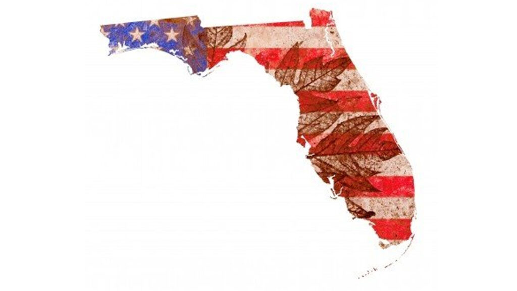 Modern Furniture Comes to Florida as Contempo Space Expands