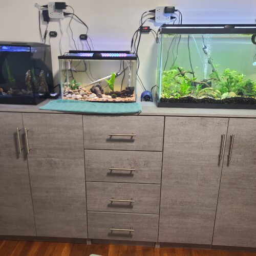 Stone Aquarium Stand