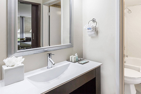 Custom bathrooom vanity