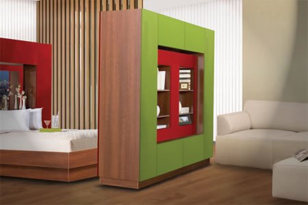 Bookcase / display faces opposite room