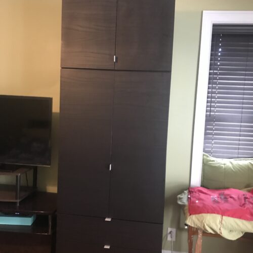 Black Zebrano Matte Alta Wardrobe | Kew Gardens, NY