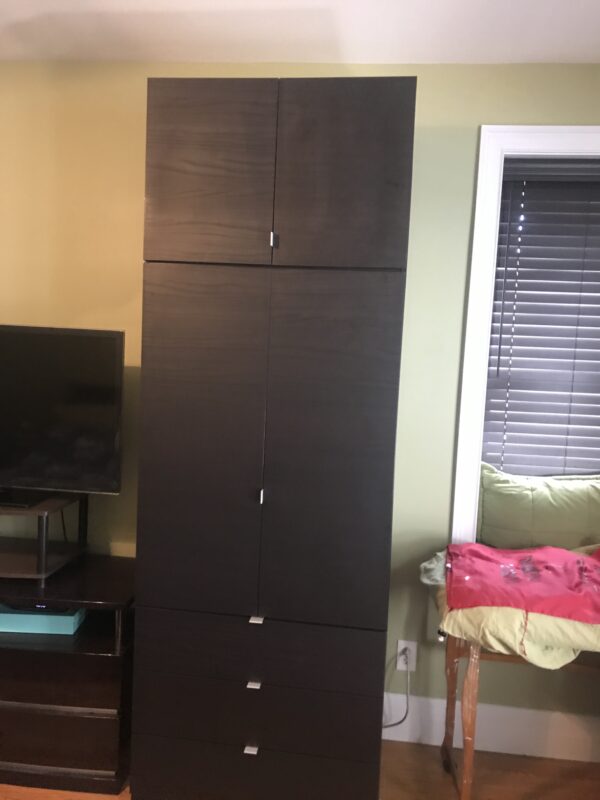 Black Zebrano Matte Alta Wardrobe | Kew Gardens, NY