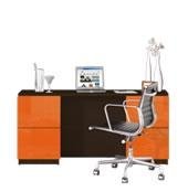 Custom Executive Desks & Computer Desks