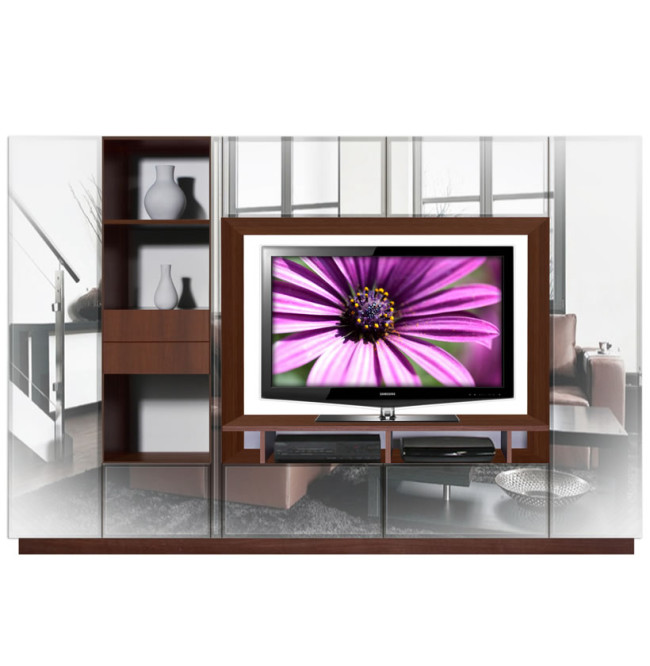 Ian Entertainment Center Mirrored Front
