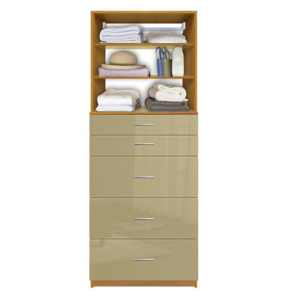 Isa Custom Closet System - 5 Drawers, 2 Adjustable Shelves