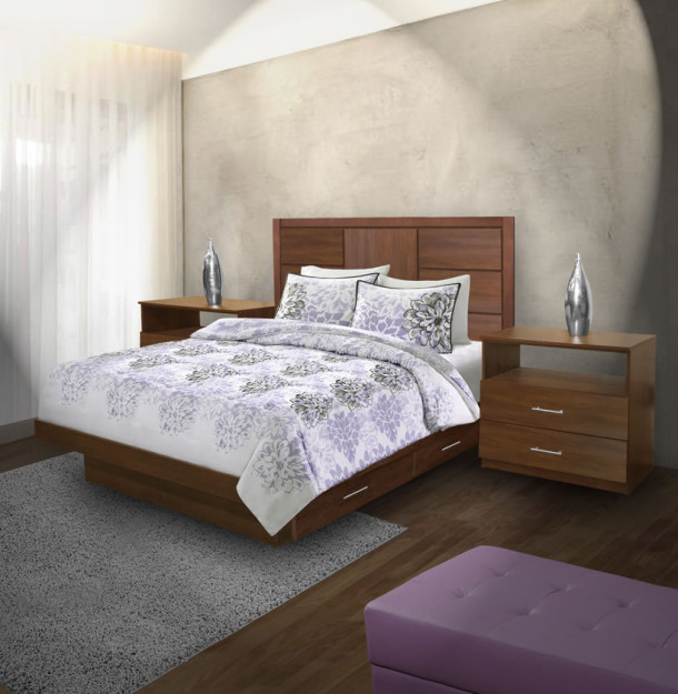 Montclair Queen Size Bedroom Set w Storage Platform