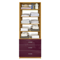 Isa Custom Closet Organization Unit, 3 Drawers, 4 Adjustable Shelves