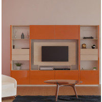 Joseph Wall Unit - Big Enough to Hold Everything