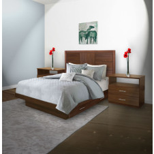 Downtown Queen Size Bedroom Set w Storage Platform