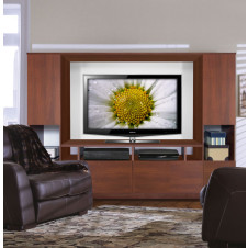 Marco Low Profile Entertainment Center for Low Ceilings or Overhead Display
