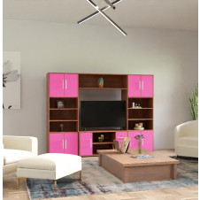 Stockton Entertainment Center - Transitional Entertainment Center