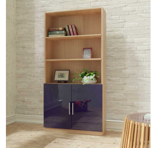 Alexis Bookcase with Custom Cabinet Doors - White Wash - Navy Blue