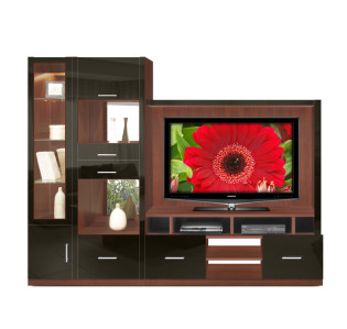 Selma Entertainment Center Espresso Glass Front