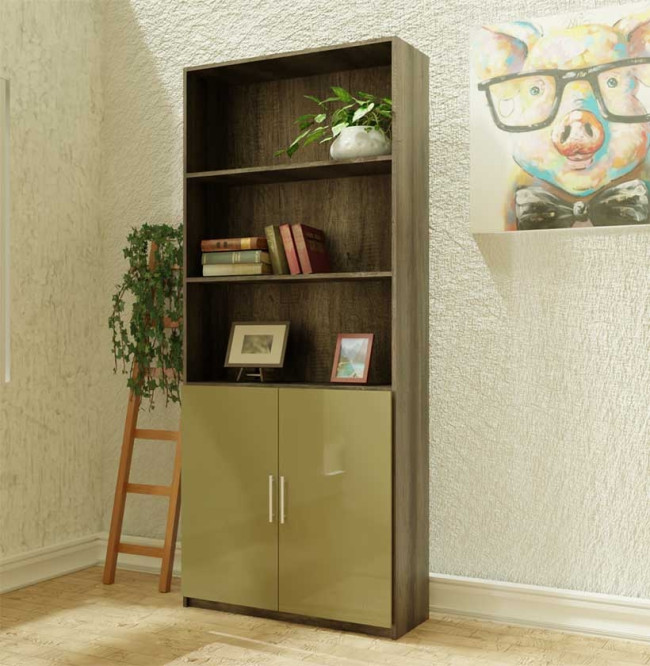 Alexis Bookcase with Custom Cabinet Doors - Shadow and Oregano