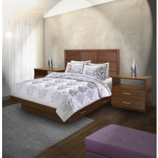 Montclair Queen Size Bedroom Set w Storage Platform