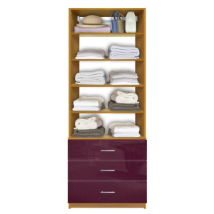 Isa Custom Closet Organization Unit, 3 Drawers, 4 Adjustable Shelves