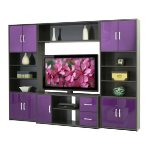 Stockton Entertainment Center - Transitional Entertainment Center