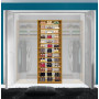 Shoe Organizer in Large Reach In Closet