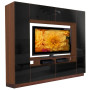 Alexander Entertainment Center Black Glass Front