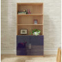 Alexis Bookcase with Custom Cabinet Doors - White Wash - Navy Blue