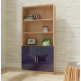 Alexis Bookcase with Custom Cabinet Doors - White Wash - Navy Blue