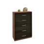 Tallboy Dresser Black Glass