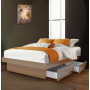 Storage Platform Bed