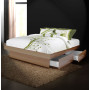 Storage Platform Bed