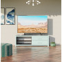 Icicle Colored Glass Front | Eucalyptus Matte Case