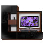 Black Scarlett Wall Unit