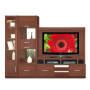 Selma Entertainment Center Wood Finish