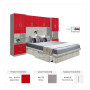Apple Red Colored Glass | Stone Matte